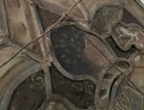 oakden shield