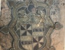oakden shield